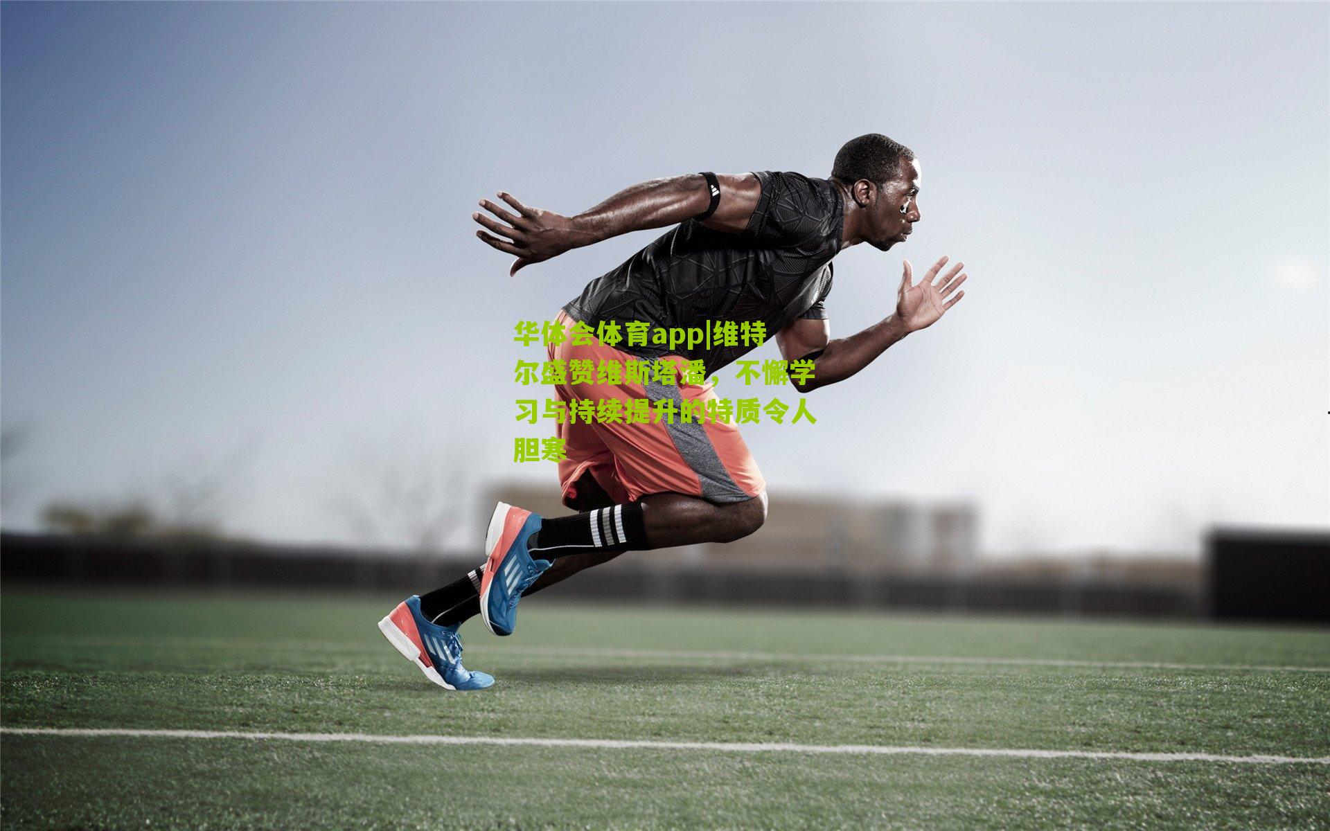 维特尔盛赞维斯塔潘，不懈学习与持续提升的特质令人胆寒